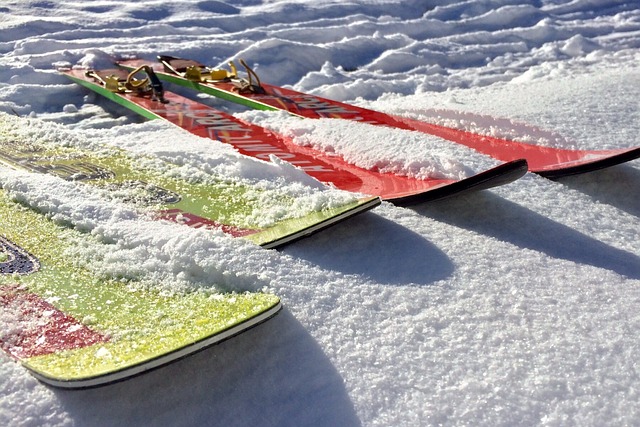 skis 584600 640