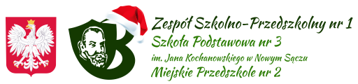 logo zsp